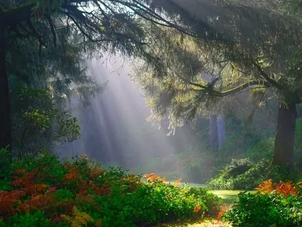 Inspiration Drive - Affirmations For Positivity