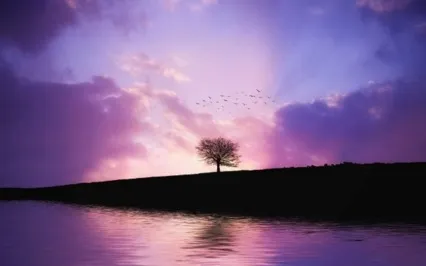 Inspiration For Manifesting The Real You