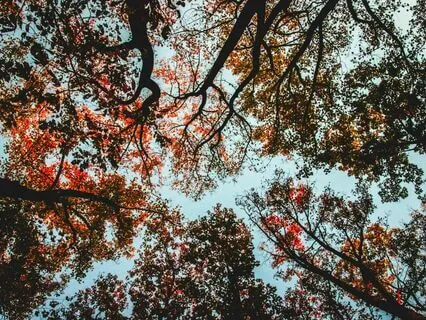 Inspiration In The Morning: Blissful Sound Bath