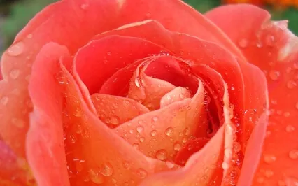 Inspiration Meditation