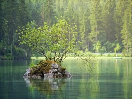 Inspired By Nature Piano Music