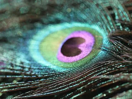 Inspired By Poetry - Meditations For Peace And Calm