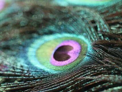 Inspired By Poetry - Meditations For Peace & Calm (No Music)