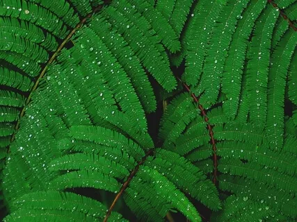 Inspired By Scaravelli Track 14