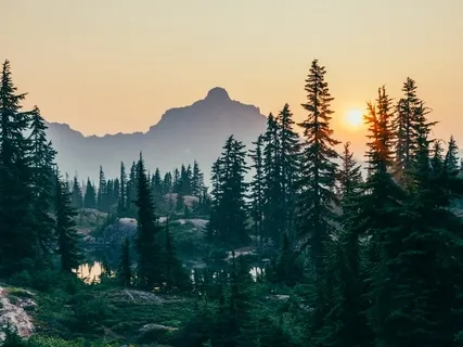 Inspired By Scaravelli: Track 5