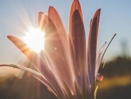 Inspiring & Mellow Instrumental Guitar