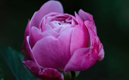 Inspiring Creativity Meditation: Eight Minutes