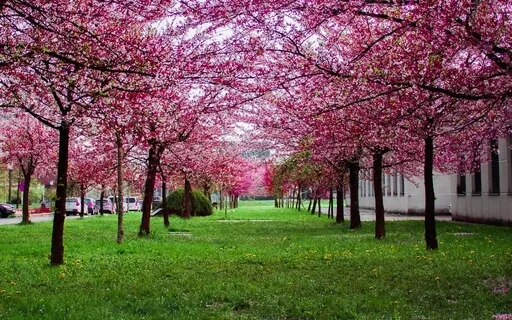 Inspiring Creativity Meditation: Five Minutes