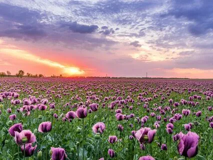 Inspiring Morning Ambience