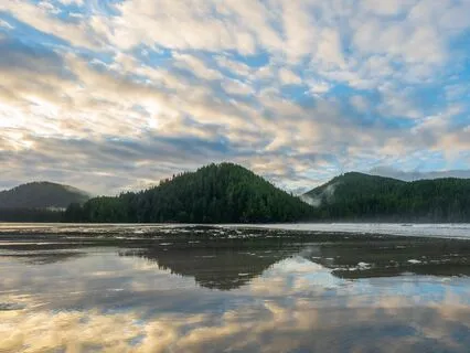 Inspiring Morning Daydream