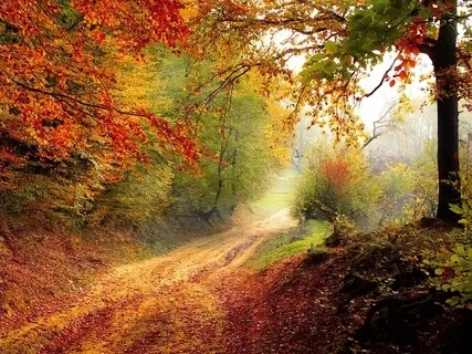 Inspiring Tribal Sounds For Energy & Harmony 