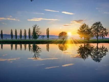 Instant Anxiety Release: Soothing Soundscapes