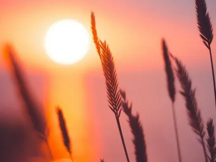 Emotional Release - Music For Piano And Strings