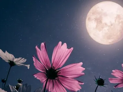 Instant Anxiety Relief, Soothing Music For Total Calm