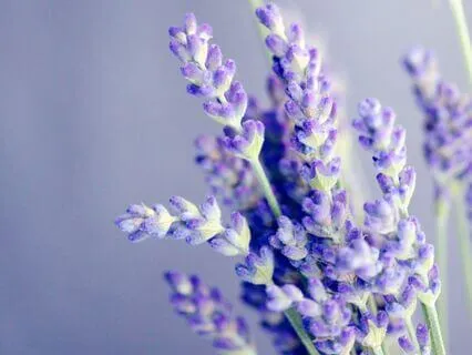 Instant Anxiety Relief With Tuning Forks