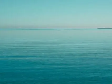 Instant Calm: 6 Minutes To Reset Your Nervous System