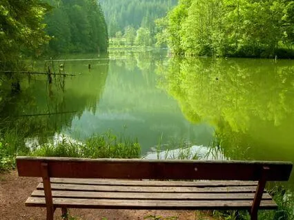 Instant Calm Anxiety And Stress Relief Music - Quiet Waters