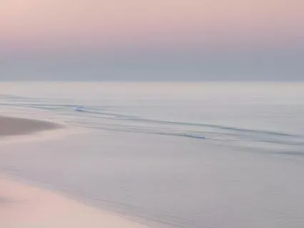 Instant Calm Comfort And Peace