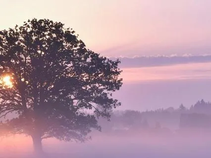 Instant Calm - Extended Exhale Breath | Theta Waves (6 Hz)