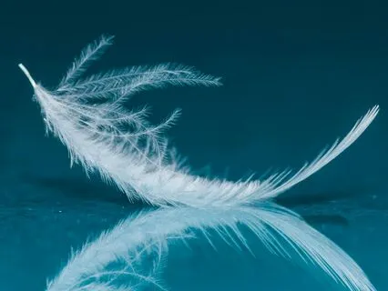 Instant Calm For ADHD & High Sensitivity