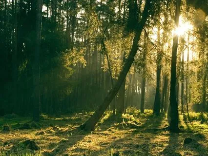 Instant Calm | Morning Meditation To Release Anxiety