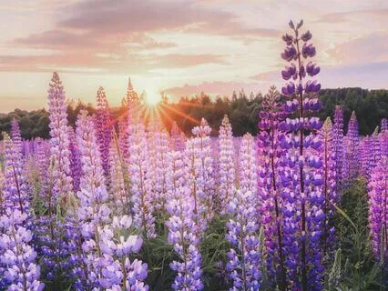 Instant Calm - Peaceful Piano Relaxation