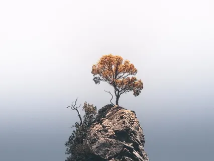 Instant Calming Meditation