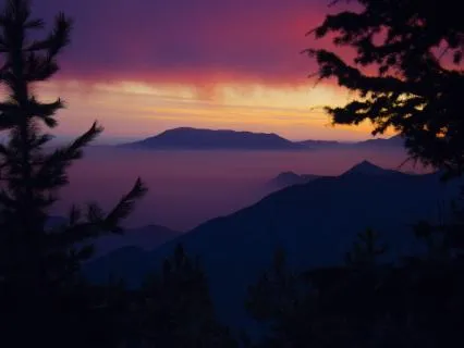 Instant Deep Sleep: Premium Sleep-Boosting Audio