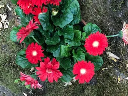 Instant Help For Anxiety