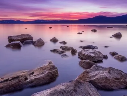 Manifest Alignment, Purpose And Trust Now