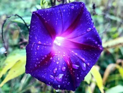 Instant Relief - Anxiety Stress Racing Heart Or Simply Calm And Relax Yourself