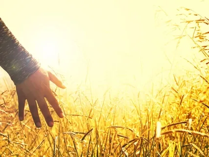 Instant Relief From Anxiety & Stress