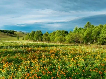 Instant Relief From Stress And Anxiety With 174 Hz