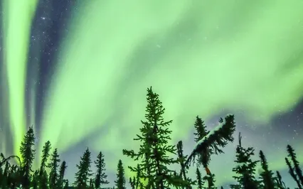 Instant Relief From Stress & Anxiety