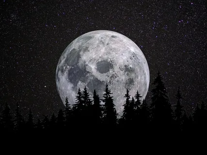 Instant Sleep | Night Cricket Sounds With Isochronic Tones