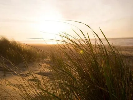 Instant Stress Relief Through The Breath