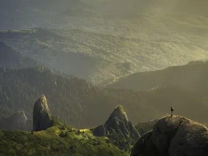 Instinct - Uncontrolled And Always There