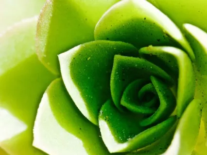 Instructions For Life Meditation 