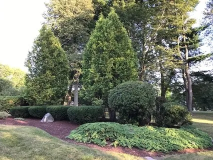 Instructions for Mindful Movement (Todd) 