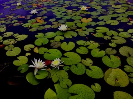 Instructions For Working With Difficult Emotions