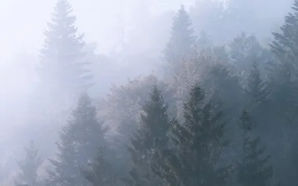 (Instrumental) Drifting Off To Sleep