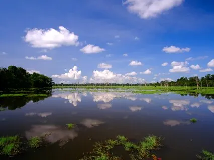 Instrumental Music For Prayer & Stillness : IV