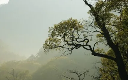 (Instrumental)  Quiet Piano For Sailing Through