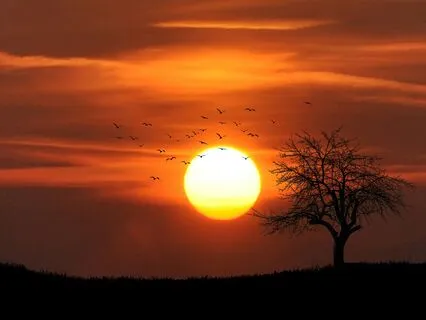 Integrate | Sunset Vibes - A Sound Collection For Massage