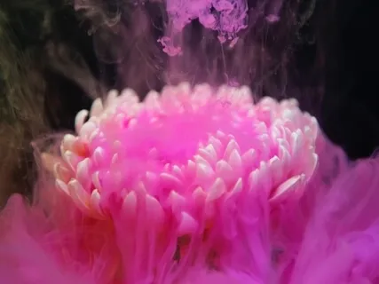 Integrated Lovingkindness