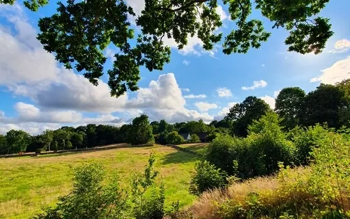 Integrating The Experiences Of Your Day - Meditation 50