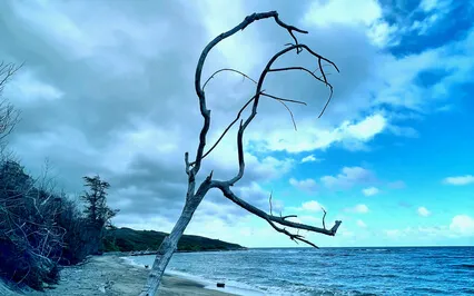 Integrating What You Learn Inside In Outer Life