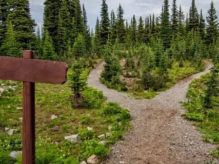 Integration Body Scan