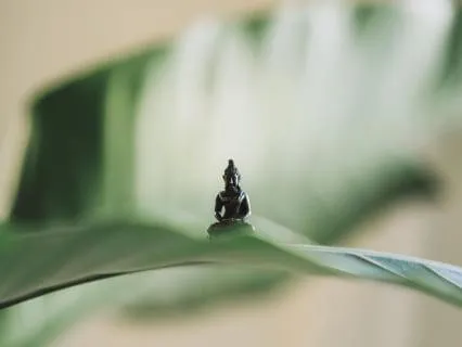 Integration Meditation - Somatic Therapy Aftercare