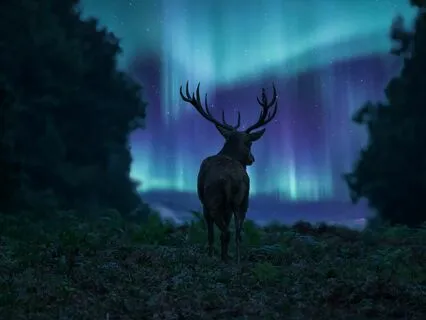 Intelligence Enhancement (Brain Synchronizer + 8D Binaurals)